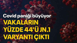 Covid paniği büyüyor: Vakaların yüzde 44'ü JN.1 varyantı çıktı